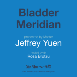 Bladder Meridian